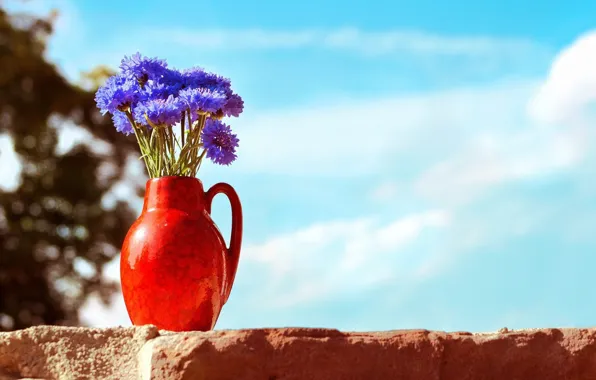 Picture flowers, vase, bokeh