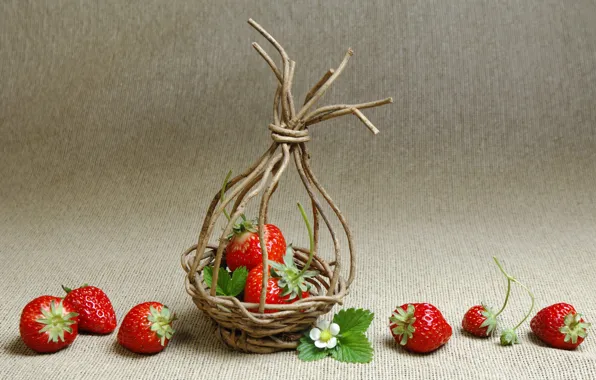 Picture strawberry, basket, branches