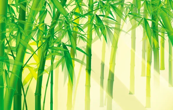 Picture greens, light, Bambuk