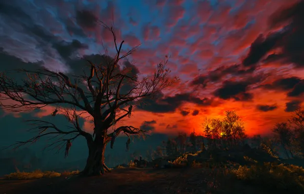 Picture the sky, clouds, night, tree, The Witcher, gallows, The Witcher 3:Wild Hunt