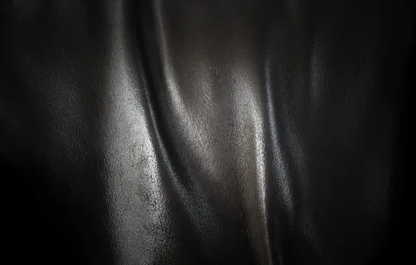 Picture Shine, leather, leather