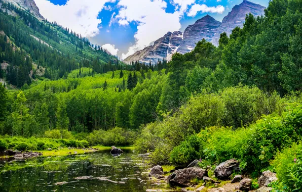 Picture forest, clouds, mountains, lake, stones, USA, the bushes, Colorado, Maroon Bells