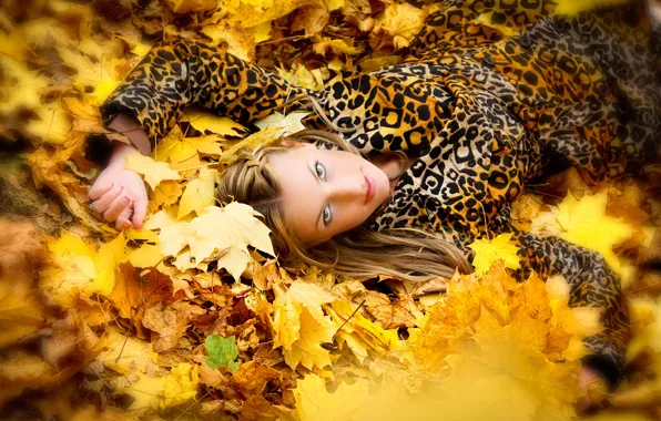 Picture autumn, girl, foliage