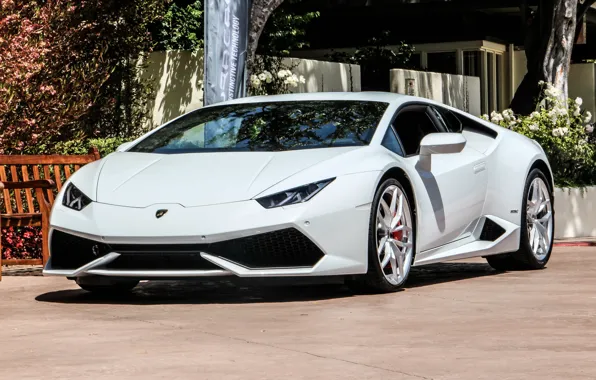 Picture Lamborghini, white, Hurricane, instinctive, tehnology