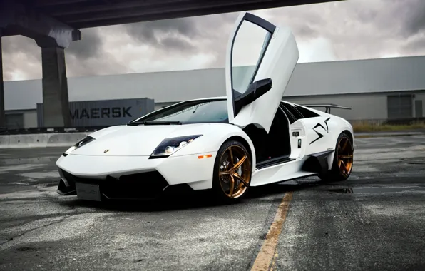 Picture Lamborghini, white, murcielago
