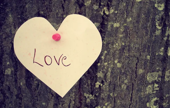 Picture love, tree, mood, the inscription, heart, love, heart.feeling
