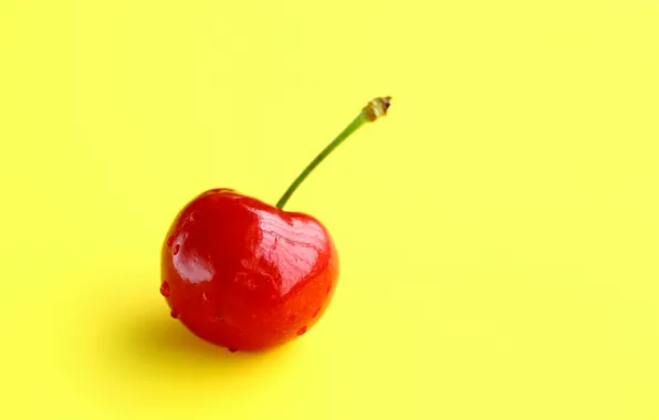 Picture yellow, background, berry, Cherry, cherry