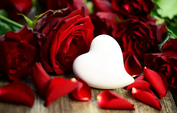 Picture love, heart, roses, love, heart, romantic, Valentine's Day