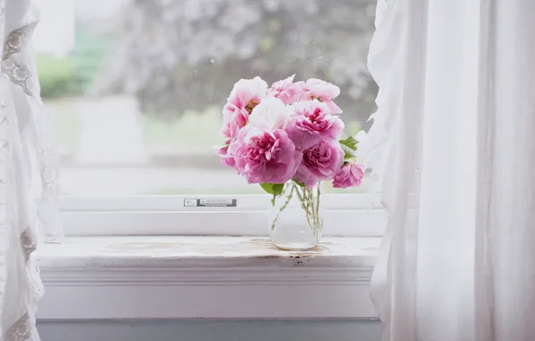 Picture flowers, pink, Windows, still life, pink flowers