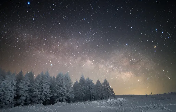 Picture space, stars, snow, trees, night, space, the milky way