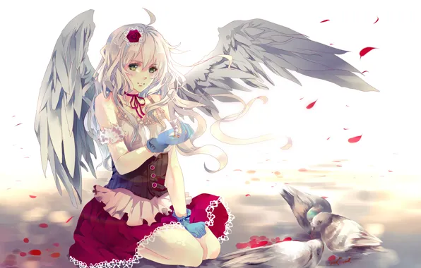 Picture girl, birds, rose, wings, petals, art, pigeons, aiki-ame