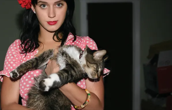 Picture Katy Perry, Cats, other