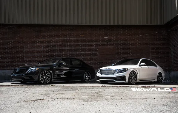 Picture TUNING, WALD, MERCEDES, BENZ, BLACK BISON, W222, S-CLASS