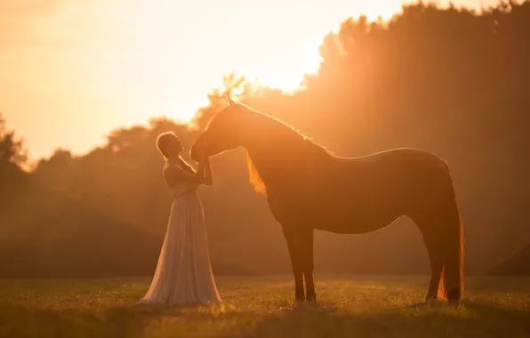 Picture girl, light, mood, horse