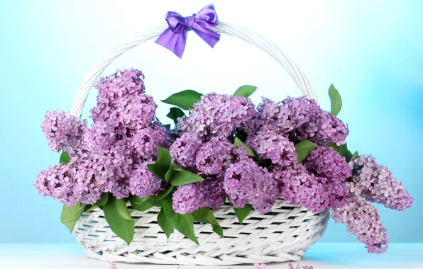 Picture flowers, bouquet, bow, basket, lilac