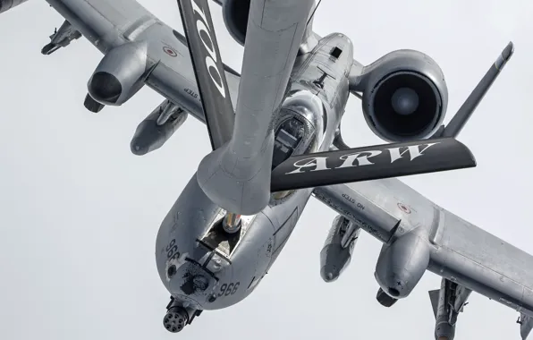 Picture flight, cabin, attack, refueling, Thunderbolt II, The thunderbolt II, A-10C
