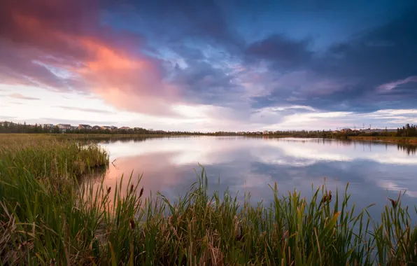 Picture the sky, grass, clouds, lake, the evening, Canada, reed, houses, the village