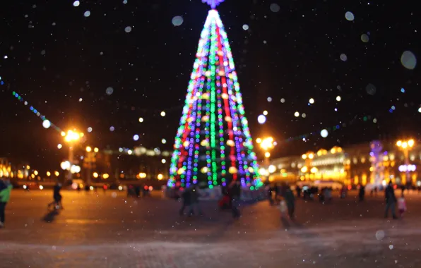 Picture winter, new year, tree, Republic square, Minsk, the main tree