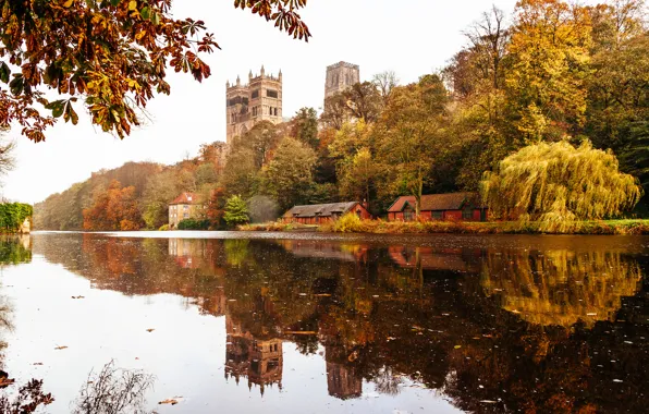 Picture trees, reflection, England, mirror, Durham Cathedral, The river wear, Durham