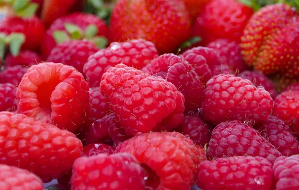 Picture macro, berries, raspberry, strawberry