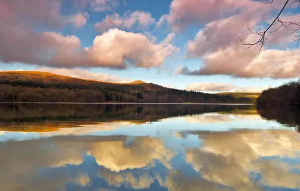 Picture the sky, clouds, lake, reflection, branch, hill