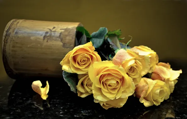 Picture roses, bouquet, petals, vase