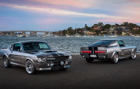 Picture Mustang, Ford, Shelby, GT500, Ford, Mustang, 1967 "Eleanor"