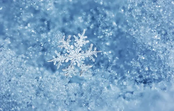 Picture ice, winter, water, macro, ice, snowflake