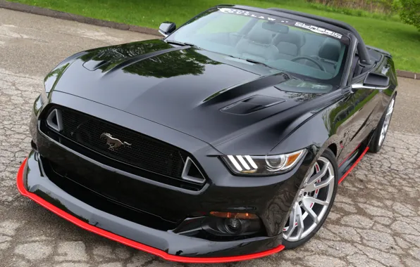 Picture Mustang, Ford, bumper, GT Convertible