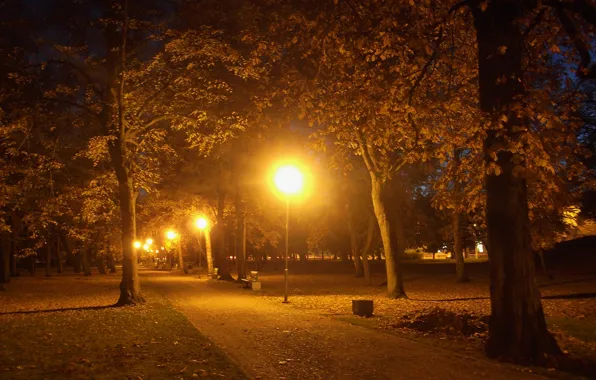 Picture Night, The city, Autumn, Park
