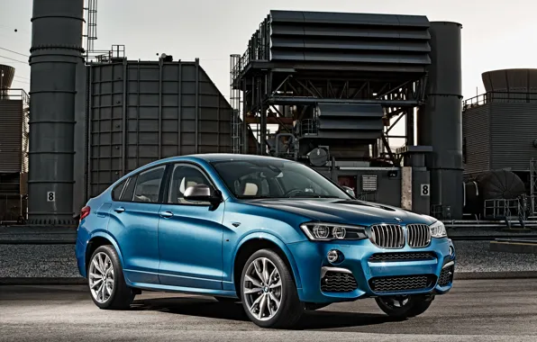 Picture plant, view, BMW, 2015, M40i