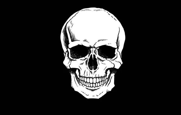 Picture skull, minimalism, head, skeleton, sake, black background