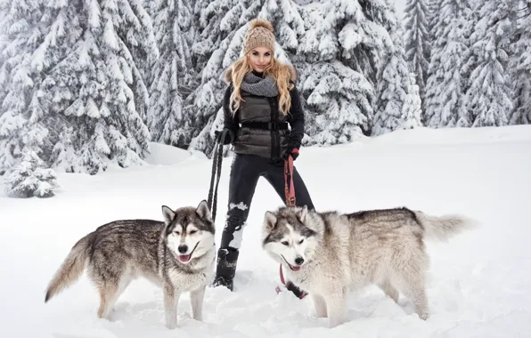 Picture dogs, girl, snow, pose, blonde, husky, breed
