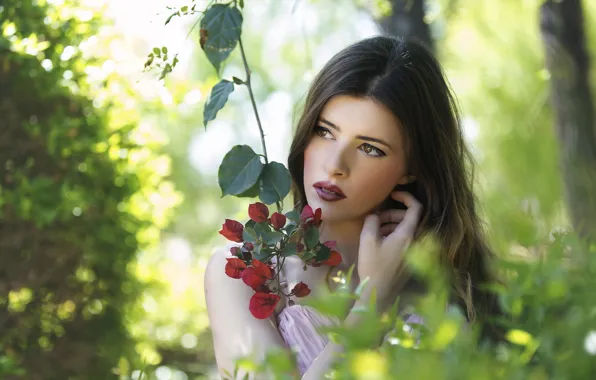 Picture girl, flowers, nature