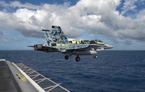 Picture sea, fighter, deck, the rise, multipurpose, FA-18C Hornet