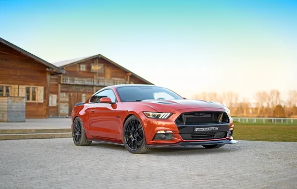 Picture Mustang, Ford, Mustang, Ford, Geiger