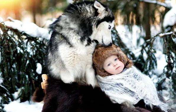 Picture winter, snow, child, dog, friendship, husky