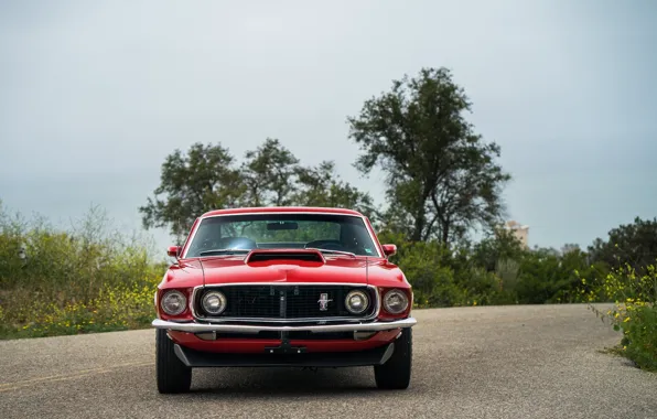 Picture Mustang, Ford, Muscle, 1969, Red, Car, Classic, Musclecar, Boss, American, 429, NasCar