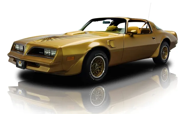Picture reflection, background, Golden, Pontiac, the front, Pontiac, Firebird, feared, Muscle car, 1978, spec.version, Muscle car, …