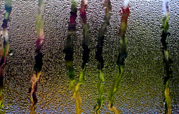 Picture glass, water, drops, rain, window, threads