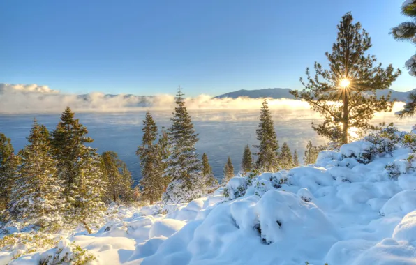 Picture winter, snow, trees, mountains, lake, sunrise, dawn, morning, CA, Nevada, California, Nevada, Sierra Nevada, Lake …