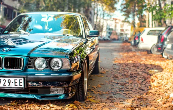 Picture autumn, leaves, BMW, tuning, E34, 525