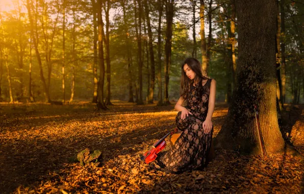 Picture autumn, forest, girl, violin, violinist