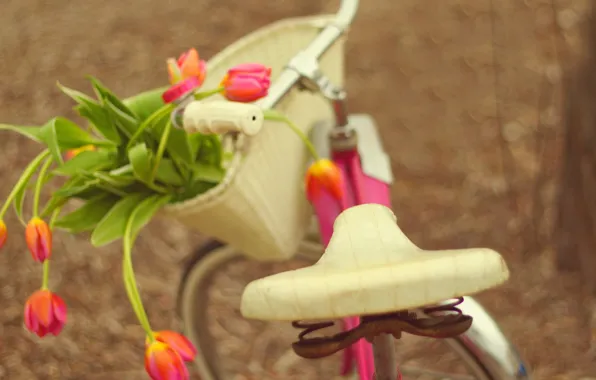 Picture flowers, bike, bouquet, tulips, bike, flowers, tulips, bouquet