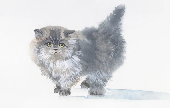 Picture kitty, grey, picture, fluffy, watercolor, painting, Wallpaper from lolita777