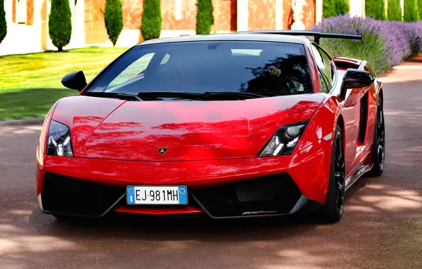 Picture red, tuning, supercar, spoiler, front view, Lamborghini, Gallardo, lamborghini gallardo lp570-4 super trofeo stradale