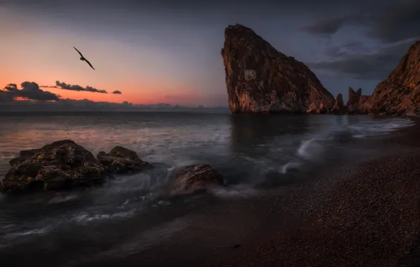 Picture sea, landscape, sunset, rocks, bird, shore, Crimea, Diva, Simeiz