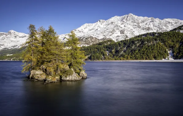 Picture snow, trees, mountains, lake, island, Switzerland, Lake Sils, Upper Engadin