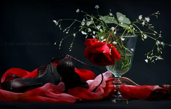 Picture flowers, rose, shoes, vase, shawl