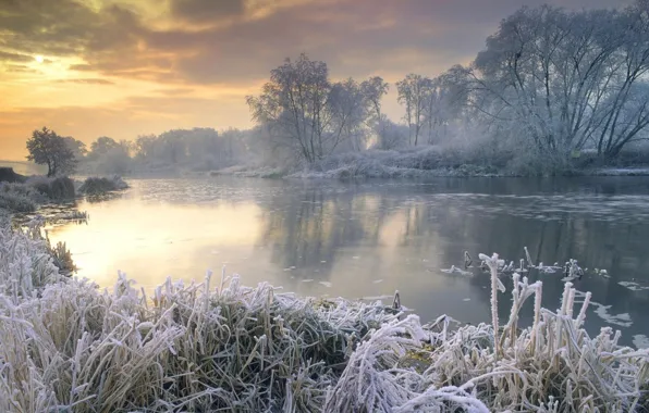 Picture winter, snow, nature, river